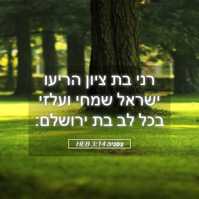 Picture 05 - צפניה 3:14 HEB - רני בת ציון הריעו ישראל - Bible Verse Picture