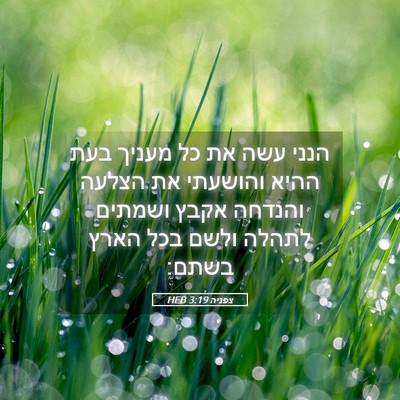 Picture 05 - צפניה 3:19 HEB - הנני עשה את כל מעניך בעת - Bible Verse Picture