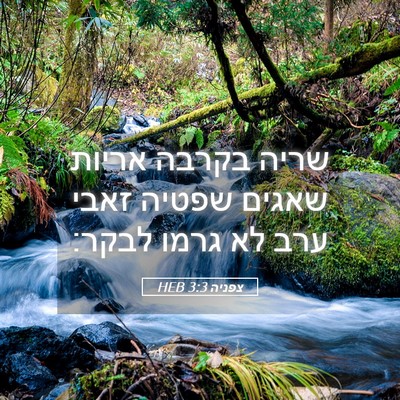 Picture 05 - צפניה 3:3 HEB - שריה בקרבה אריות שאגים - Bible Verse Picture