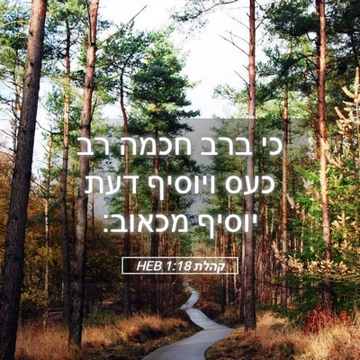 Picture 05 - קהלת 1:18 HEB - כי ברב חכמה רב כעס ויוסיף - Bible Verse Picture