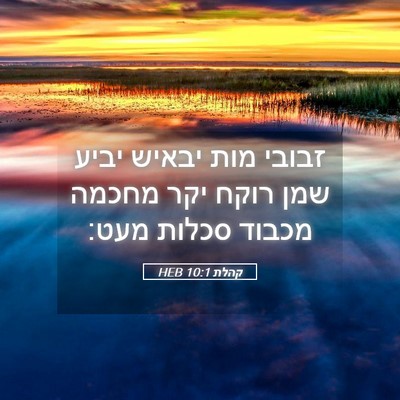 Picture 05 - קהלת 10:1 HEB - זבובי מות יבאיש יביע שמן - Bible Verse Picture
