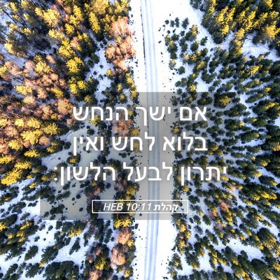 Picture 05 - קהלת 10:11 HEB - אם ישך הנחש בלוא לחש ואין - Bible Verse Picture