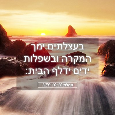 Picture 05 - קהלת 10:18 HEB - בעצלתים ימך המקרה ובשפלות - Bible Verse Picture
