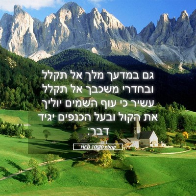 Picture 05 - קהלת 10:20 HEB - גם במדעך מלך אל תקלל ובחדרי - Bible Verse Picture