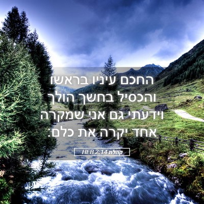 Picture 05 - קהלת 2:14 HEB - החכם עיניו בראשו והכסיל - Bible Verse Picture