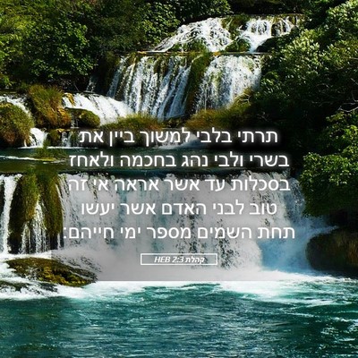 Picture 05 - קהלת 2:3 HEB - תרתי בלבי למשוך ביין את - Bible Verse Picture