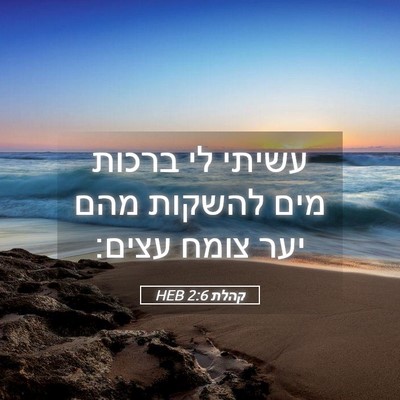 Picture 05 - קהלת 2:6 HEB - עשיתי לי ברכות מים להשקות - Bible Verse Picture