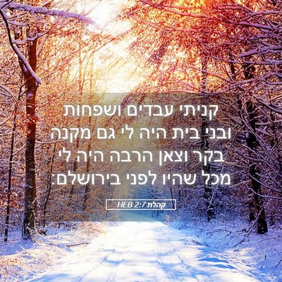 Picture 05 - קהלת 2:7 HEB - קניתי עבדים ושפחות ובני - Bible Verse Picture