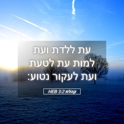 Picture 05 - קהלת 3:2 HEB - עת ללדת ועת למות עת לטעת - Bible Verse Picture