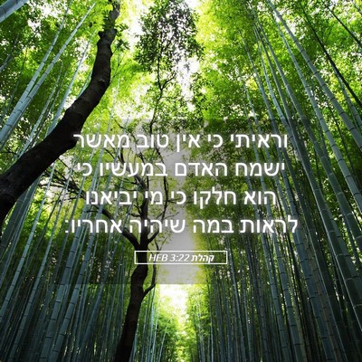 Picture 05 - קהלת 3:22 HEB - וראיתי כי אין טוב מאשר ישמח - Bible Verse Picture