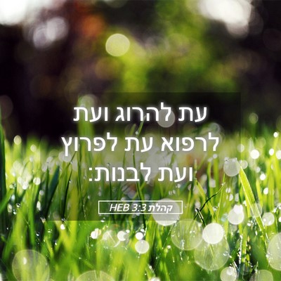 Picture 05 - קהלת 3:3 HEB - עת להרוג ועת לרפוא עת לפרוץ - Bible Verse Picture