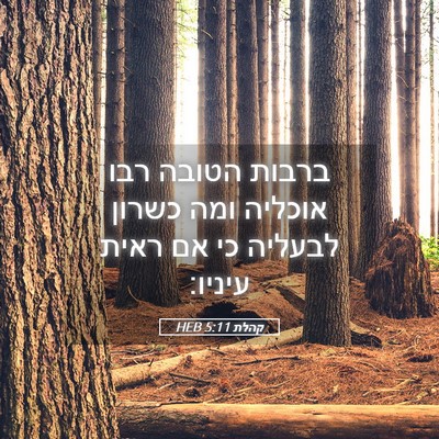 Picture 05 - קהלת 5:11 HEB - ברבות הטובה רבו אוכליה ומה - Bible Verse Picture