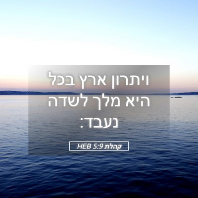 Picture 05 - קהלת 5:9 HEB - ויתרון ארץ בכל היא מלך לשדה - Bible Verse Picture