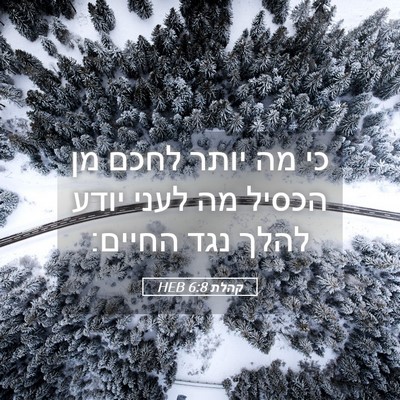 Picture 05 - קהלת 6:8 HEB - כי מה יותר לחכם מן הכסיל מה - Bible Verse Picture