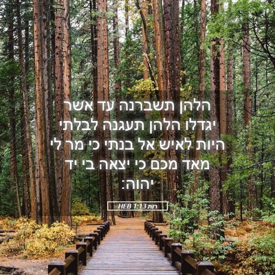 Picture 05 - רות 1:13 HEB - הלהן תשברנה עד אשר יגדלו - Bible Verse Picture