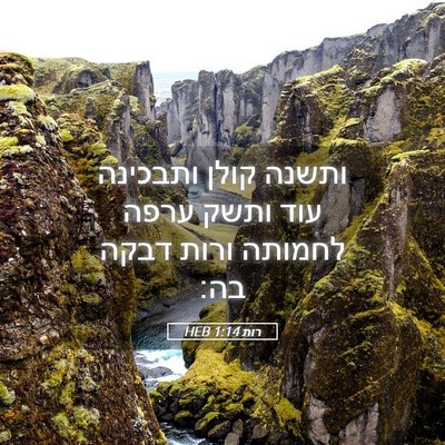 Picture 05 - רות 1:14 HEB - ותשנה קולן ותבכינה עוד - Bible Verse Picture