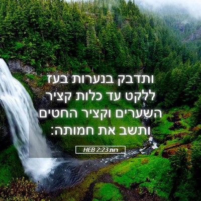 Picture 05 - רות 2:23 HEB - ותדבק בנערות בעז ללקט עד - Bible Verse Picture