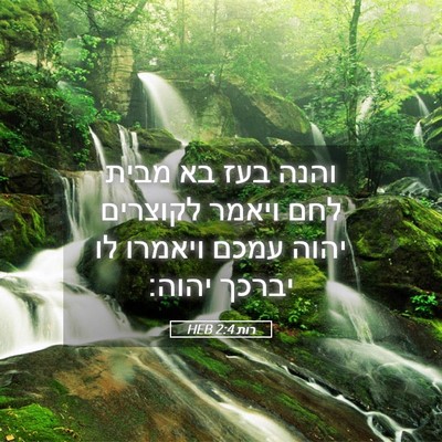 Picture 05 - רות 2:4 HEB - והנה בעז בא מבית לחם ויאמר - Bible Verse Picture