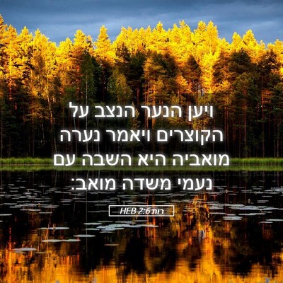 Picture 05 - רות 2:6 HEB - ויען הנער הנצב על הקוצרים - Bible Verse Picture