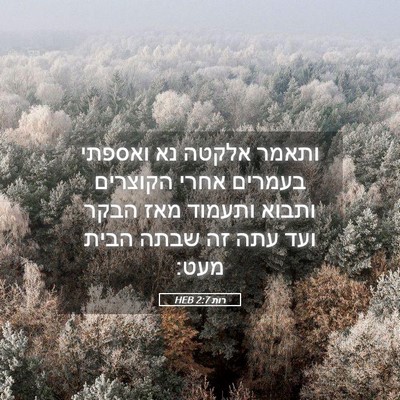 Picture 05 - רות 2:7 HEB - ותאמר אלקטה נא ואספתי - Bible Verse Picture