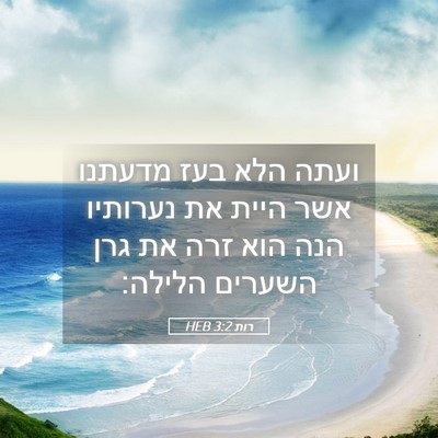 Picture 05 - רות 3:2 HEB - ועתה הלא בעז מדעתנו אשר - Bible Verse Picture
