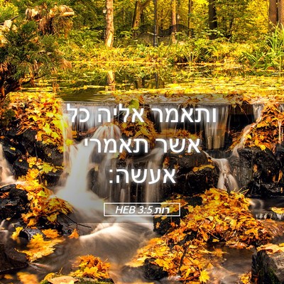 Picture 05 - רות 3:5 HEB - ותאמר אליה כל אשר תאמרי - Bible Verse Picture