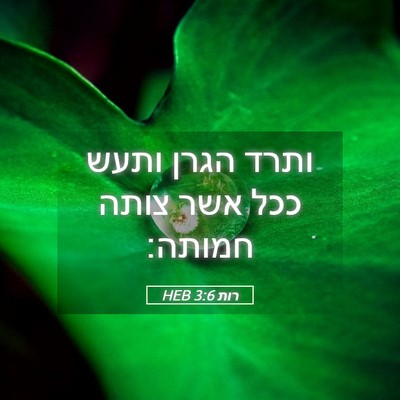 Picture 05 - רות 3:6 HEB - ותרד הגרן ותעש ככל אשר צותה - Bible Verse Picture