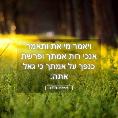 Picture 05 - רות 3:9 HEB - ויאמר מי את ותאמר אנכי רות - Bible Verse Picture