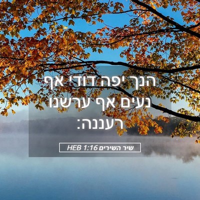 Picture 05 - שיר השירים 1:16 HEB - הנך יפה דודי אף נעים אף - Bible Verse Picture