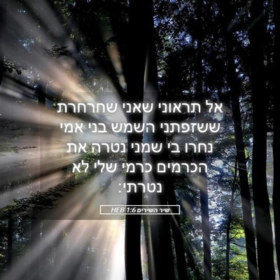 Picture 05 - שיר השירים 1:6 HEB - אל תראוני שאני שחרחרת - Bible Verse Picture