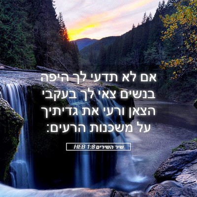 Picture 05 - שיר השירים 1:8 HEB - אם לא תדעי לך היפה בנשים - Bible Verse Picture