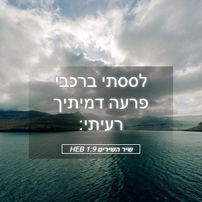 Picture 05 - שיר השירים 1:9 HEB - לססתי ברכבי פרעה דמיתיך - Bible Verse Picture