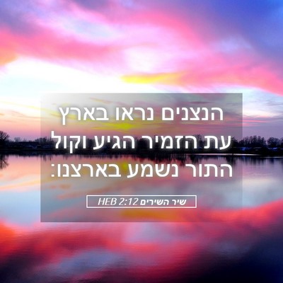 Picture 05 - שיר השירים 2:12 HEB - הנצנים נראו בארץ עת הזמיר - Bible Verse Picture
