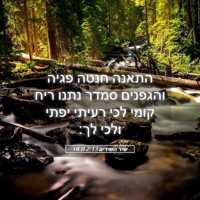Picture 05 - שיר השירים 2:13 HEB - התאנה חנטה פגיה והגפנים - Bible Verse Picture