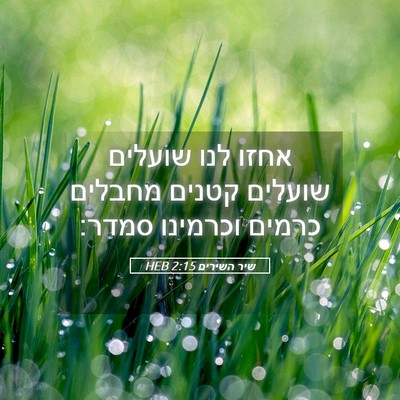 Picture 05 - שיר השירים 2:15 HEB - אחזו לנו שועלים שועלים - Bible Verse Picture
