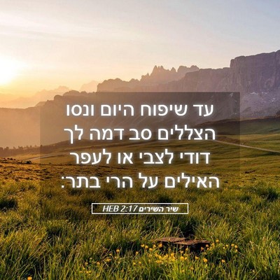 Picture 05 - שיר השירים 2:17 HEB - עד שיפוח היום ונסו הצללים - Bible Verse Picture