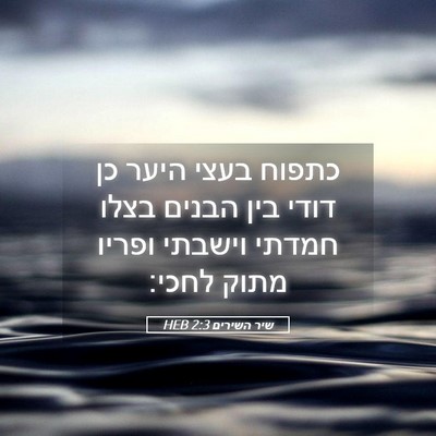 Picture 05 - שיר השירים 2:3 HEB - כתפוח בעצי היער כן דודי בין - Bible Verse Picture