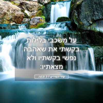 Picture 05 - שיר השירים 3:1 HEB - על משכבי בלילות בקשתי את - Bible Verse Picture