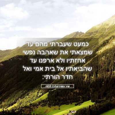 Picture 05 - שיר השירים 3:4 HEB - כמעט שעברתי מהם עד שמצאתי - Bible Verse Picture