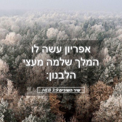 Picture 05 - שיר השירים 3:9 HEB - אפריון עשה לו המלך שלמה - Bible Verse Picture