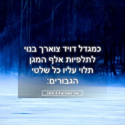 Picture 05 - שיר השירים 4:4 HEB - כמגדל דויד צוארך בנוי - Bible Verse Picture