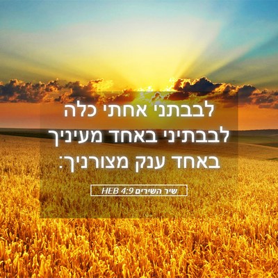 Picture 05 - שיר השירים 4:9 HEB - לבבתני אחתי כלה לבבתיני - Bible Verse Picture