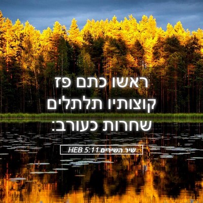 Picture 05 - שיר השירים 5:11 HEB - ראשו כתם פז קוצותיו תלתלים - Bible Verse Picture