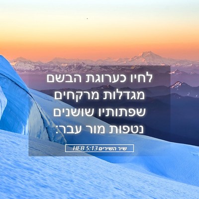 Picture 05 - שיר השירים 5:13 HEB - לחיו כערוגת הבשם מגדלות - Bible Verse Picture