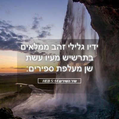 Picture 05 - שיר השירים 5:14 HEB - ידיו גלילי זהב ממלאים - Bible Verse Picture