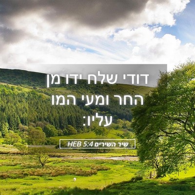 Picture 05 - שיר השירים 5:4 HEB - דודי שלח ידו מן החר ומעי - Bible Verse Picture