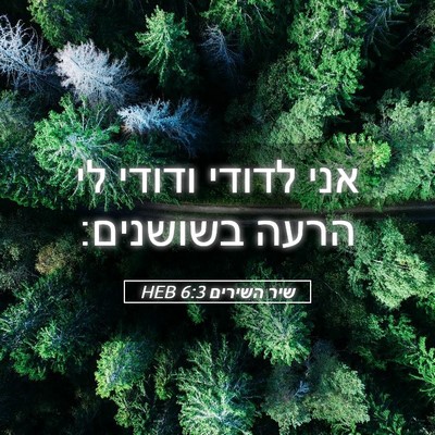 Picture 05 - שיר השירים 6:3 HEB - אני לדודי ודודי לי הרעה - Bible Verse Picture