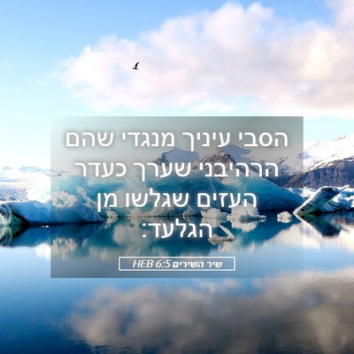 Picture 05 - שיר השירים 6:5 HEB - הסבי עיניך מנגדי שהם - Bible Verse Picture