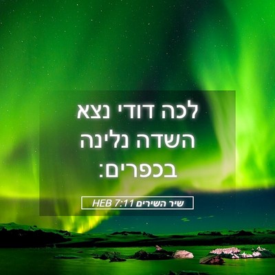 Picture 05 - שיר השירים 7:11 HEB - לכה דודי נצא השדה נלינה - Bible Verse Picture