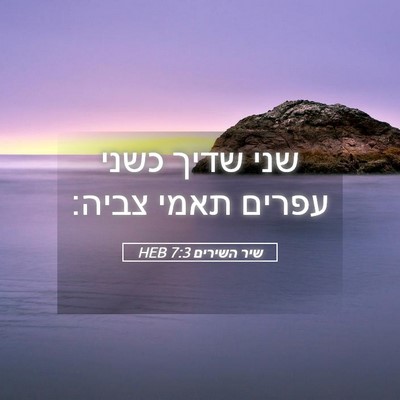 Picture 05 - שיר השירים 7:3 HEB - שני שדיך כשני עפרים תאמי - Bible Verse Picture